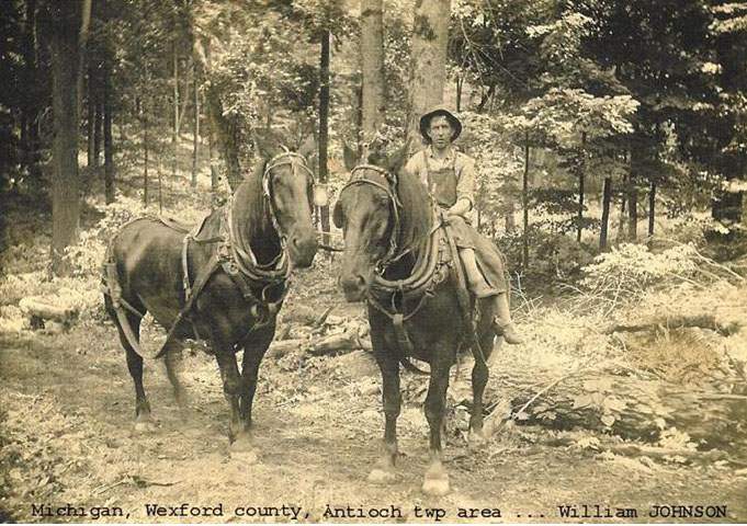 William Johnson on Horseback